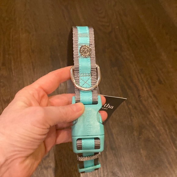 Martha Stewart Adjustable Nylon Dog Collar Size 20 - Neck 18-26" Mint Green/Gray - Picture 1 of 11